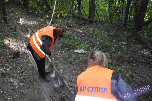 Чищення лотків