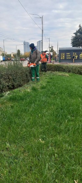 КП УЗН висадило 6 тисяч квітів на трьох локаціях Дніпровського району
