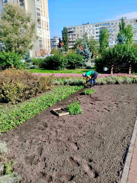 Майже 20 тисяч квітів висадили за три дні