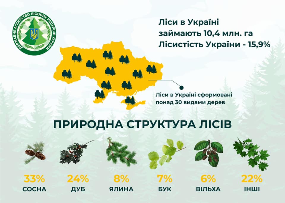 Природна структура лісів України