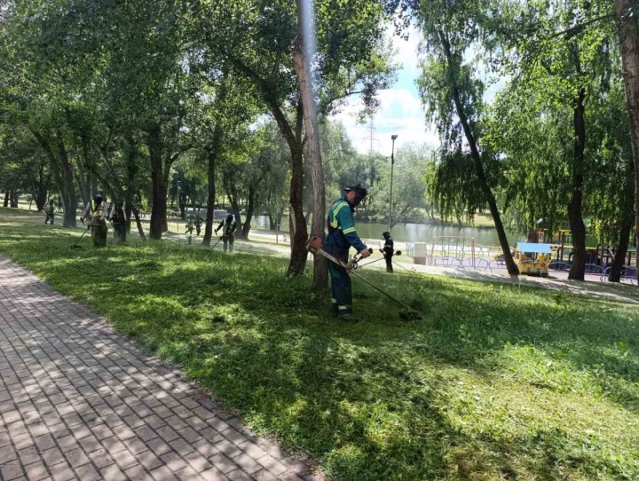 Охайні газони — це результат щоденної та кропіткої праці наших працівників.