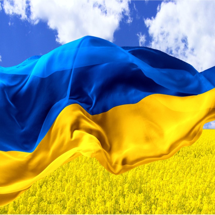 Квіти замість руйнувань: як Дарниця відзначила День Незалежності