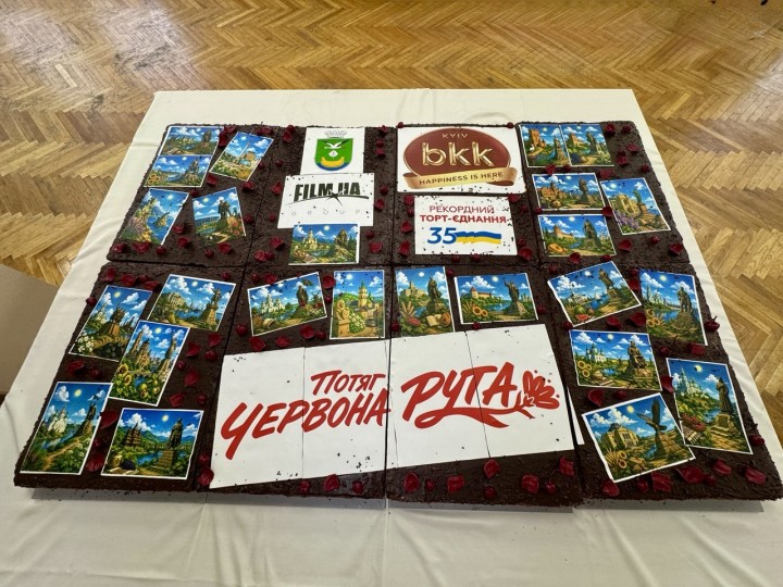35 тисяч шматочків, 17 локацій і одна Україна: Дарниця встановлює рекорд разом із країною