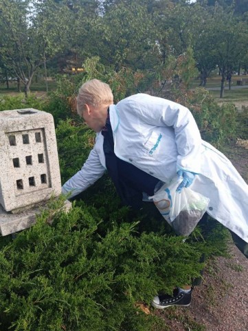 Безпека та комфорт у парках Деснянського району: проводимо дератизацію