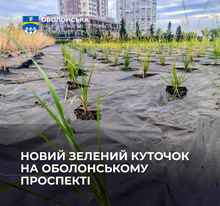 Оболонський проспект оновився: довкола металевої інсталяції карти України завершили висадку рослин